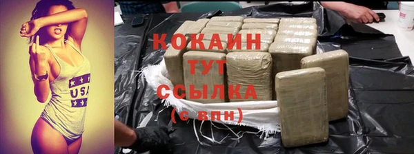 шишки Алексин